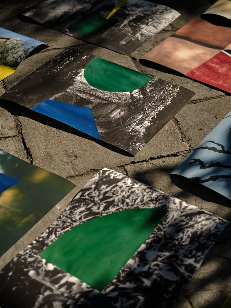 Paintings on Photographs 003-015